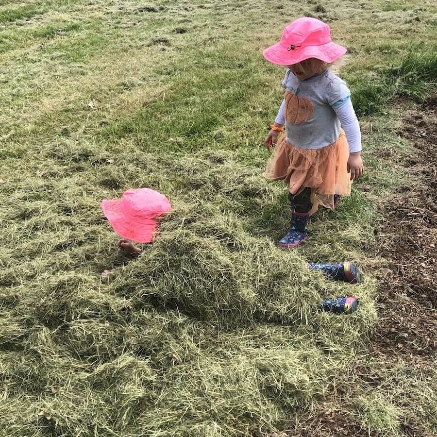 kids grass clippings mulch